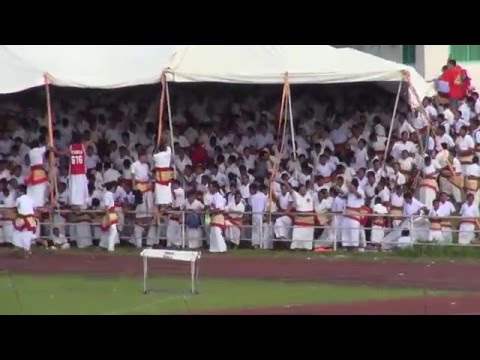 Boys 4 x 100m Finals – Tonga Inter-Collegiate Athletics