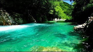 新緑とエメラルドグリーンの阿寺渓谷・4K