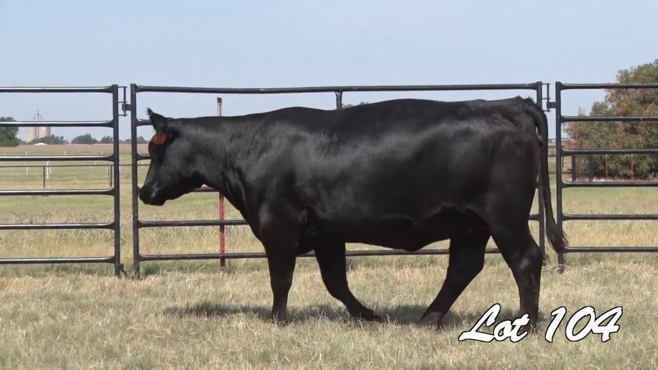 Pollard Farms Lot 104 YouTube