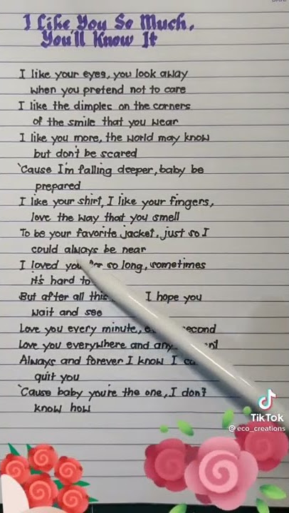 I Like You You So Much You'll Know It Lyrics #music #lyrics #instrumentalmusic