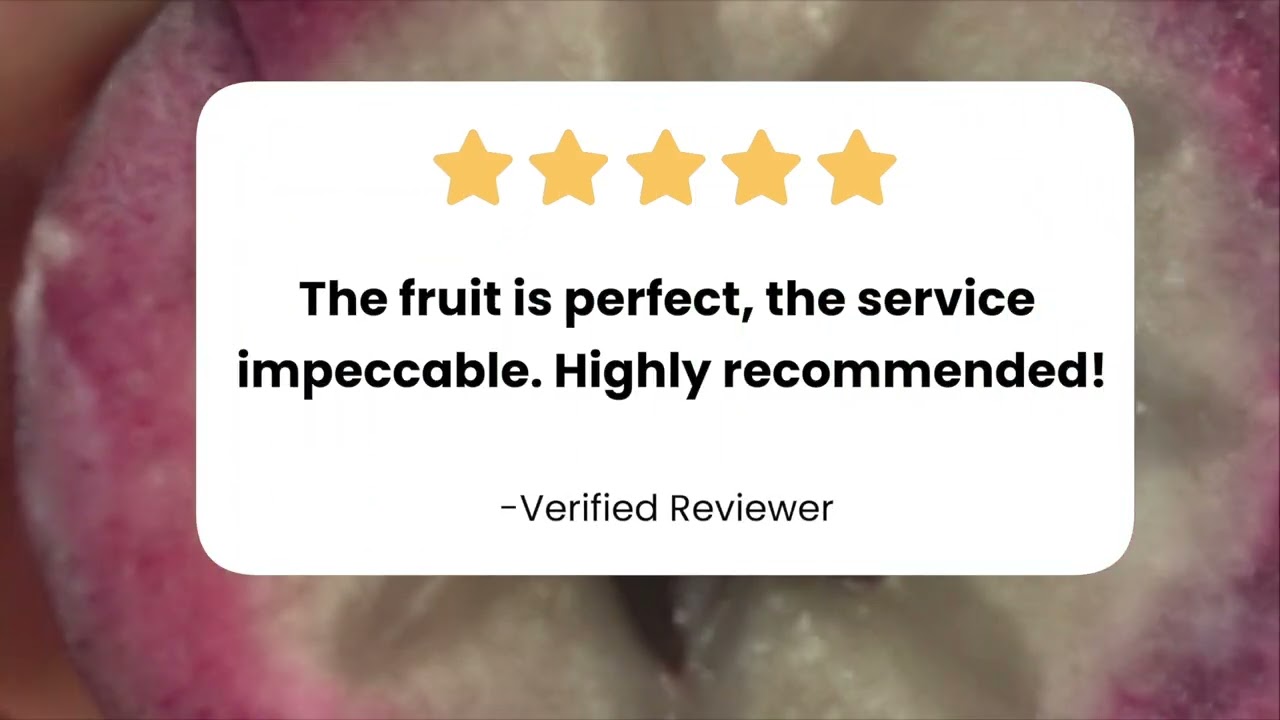 Tropical Fruit Box - The Best Place To Order Fresh Tropical & Exotic Fruits Online