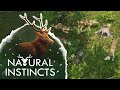 Mourning a DEATH in the Wolf Pack?! 🦌 Natural Instincts • #1