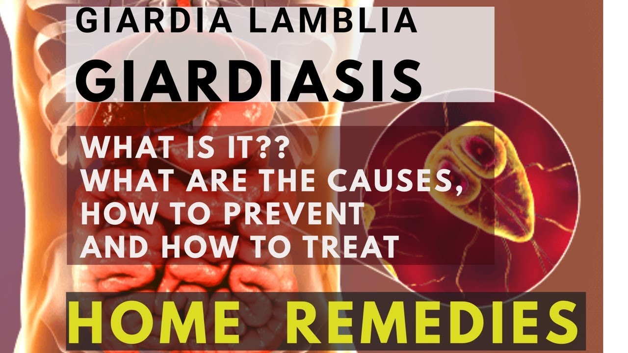 How Can Giardia Be Controlled?