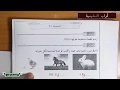 تمارين محلولة الحصيلة 3 لتلاميذ السنة الثالثة ابتدائي 