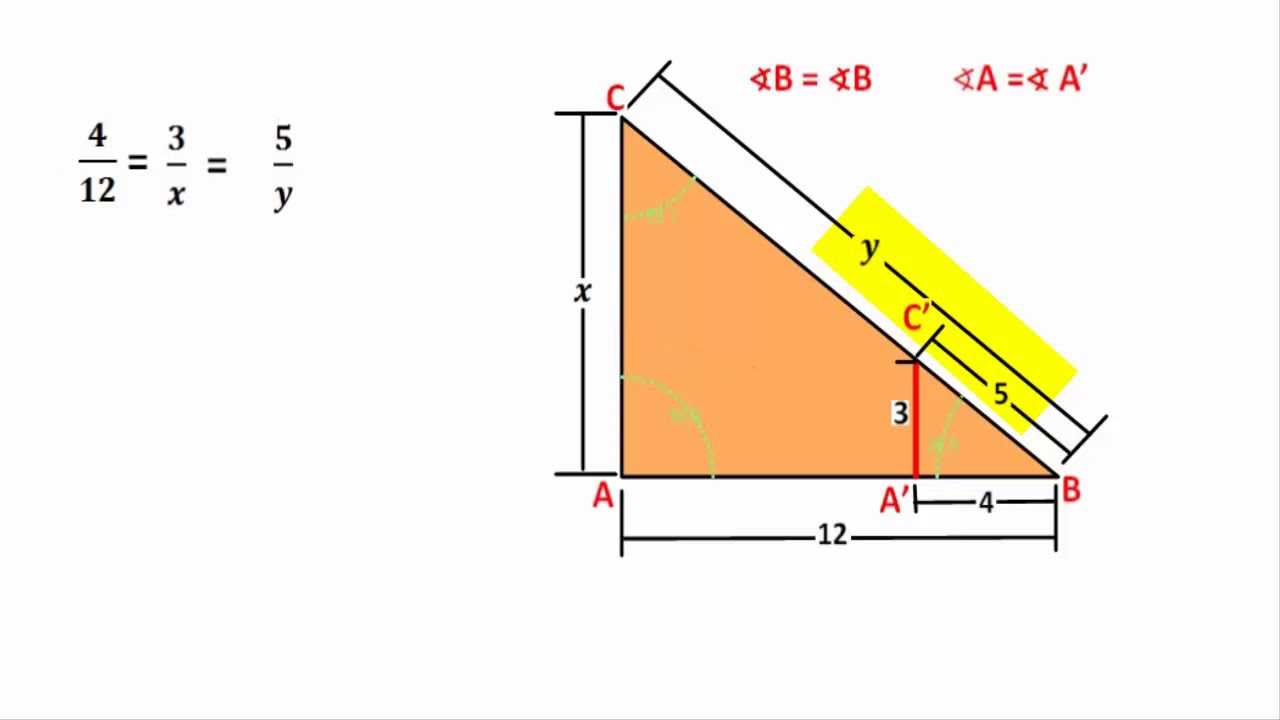 Teorema De Tales Calculadora EDULEARN Teorema De Tales Calculadora EDULEARN