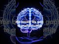 What if your brain is lying to you?