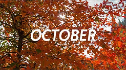 Monthly Solar Production/ Energy Usage - October