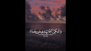 تلاوة هادئة تريح الأعصاب 😴🎧 | القاريء ماهر المعيقلي - سورة القصص 🤍🌥️."