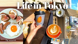 Tokyo VLOG| Rainy weather, cosy days at home, fig recipes, thrifting, cafe hopping