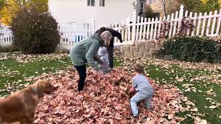 Playing in Nana’s leaf pile