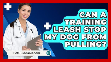 Can A Training Leash Stop My Dog From Pulling? - PetGuide360.com