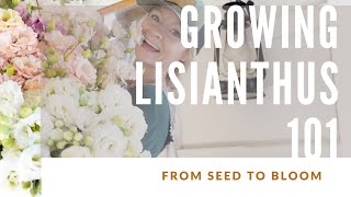 HOW TO GROW LISIANTHUS!