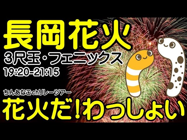 長岡花火ライブ 8月3日 本編寄りライブ配信アーカイブ【ちんあなご&女将さん】 サムネイル
