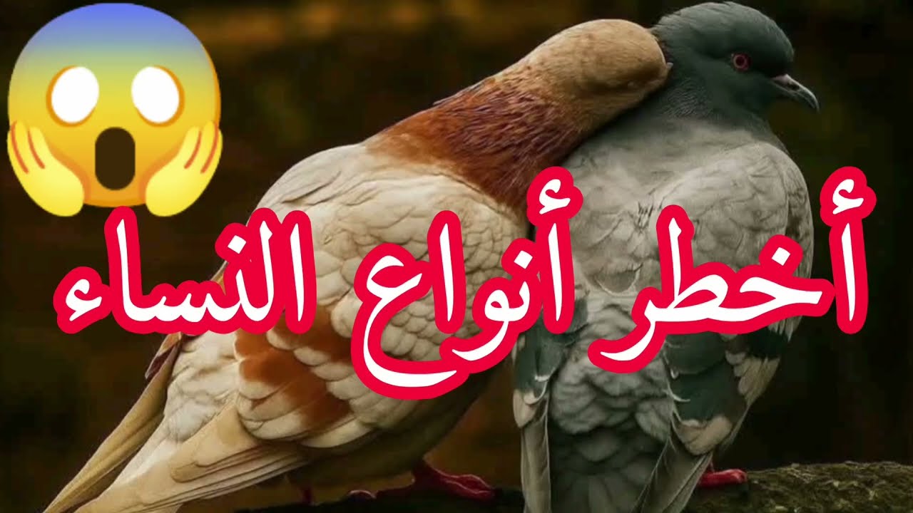 أخطر أنواع النساء 😱😱