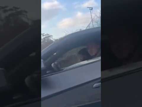 تخيل تكون عم تمشي ب امان الله وتلاقي الشامي جنبك اشتراك اكسبلور ديلارا الشامي ترند Edit 