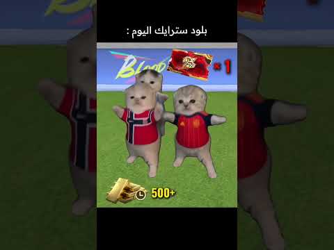 بلود سترايك اليوم :