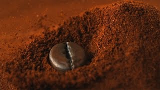 Pakchot Factory: Coffee Bean Slow Mo Drop