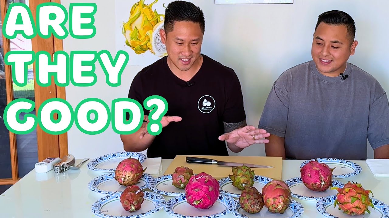 Winter Dragon Fruit Tasting! Nothing Like I Expected
