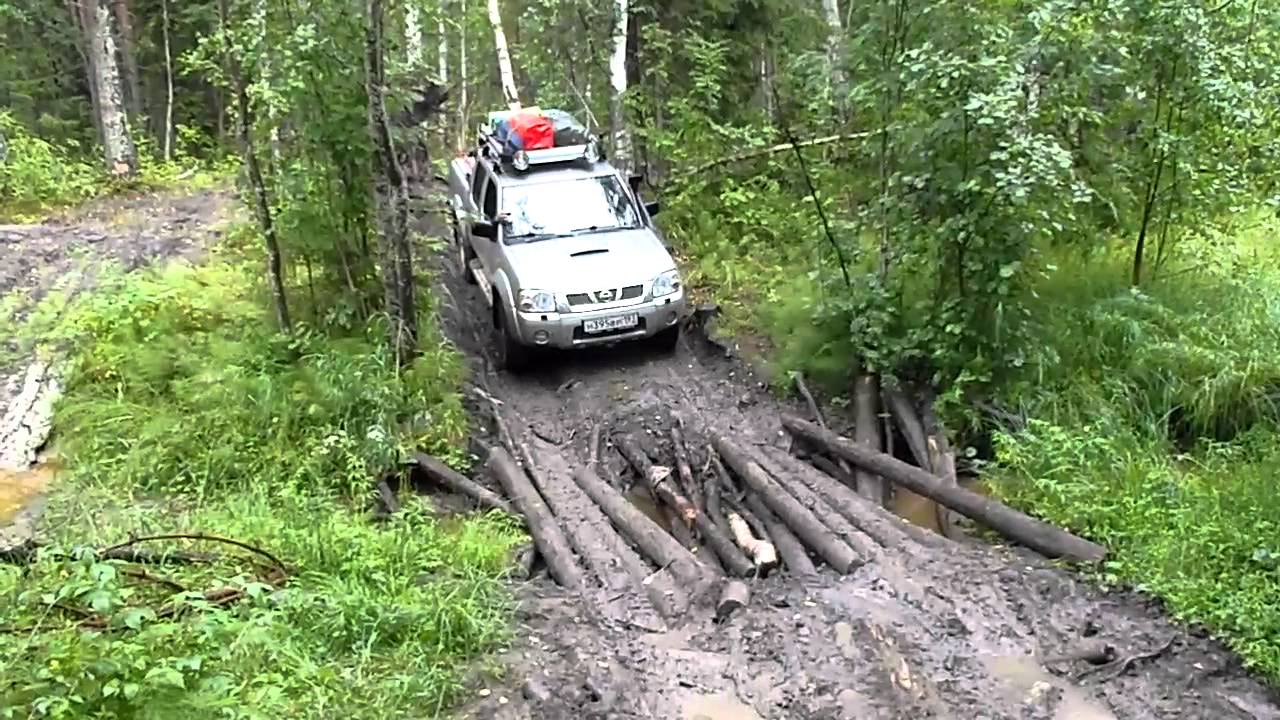 Бесов нос на машине