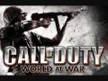 Call of Duty - World at War: Peleliu Landing