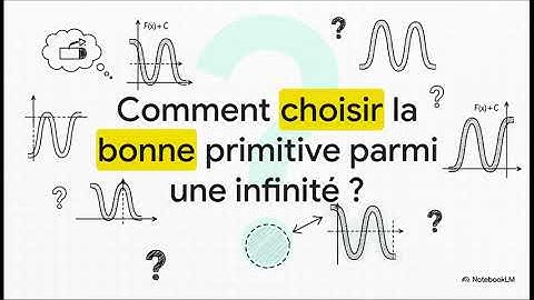 Fonctions Primitives : L