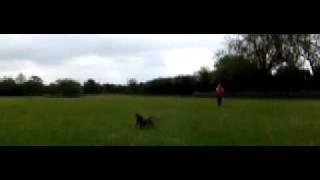 blaze slow mo frisbee catch