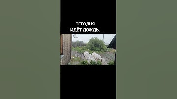 Thumbnail of ИГОРЬ ТАЛЬКОВ "ЛЕТНИЙ ДОЖДЬ "#shorts #2025 #tiktok #video #music #love ##музыка