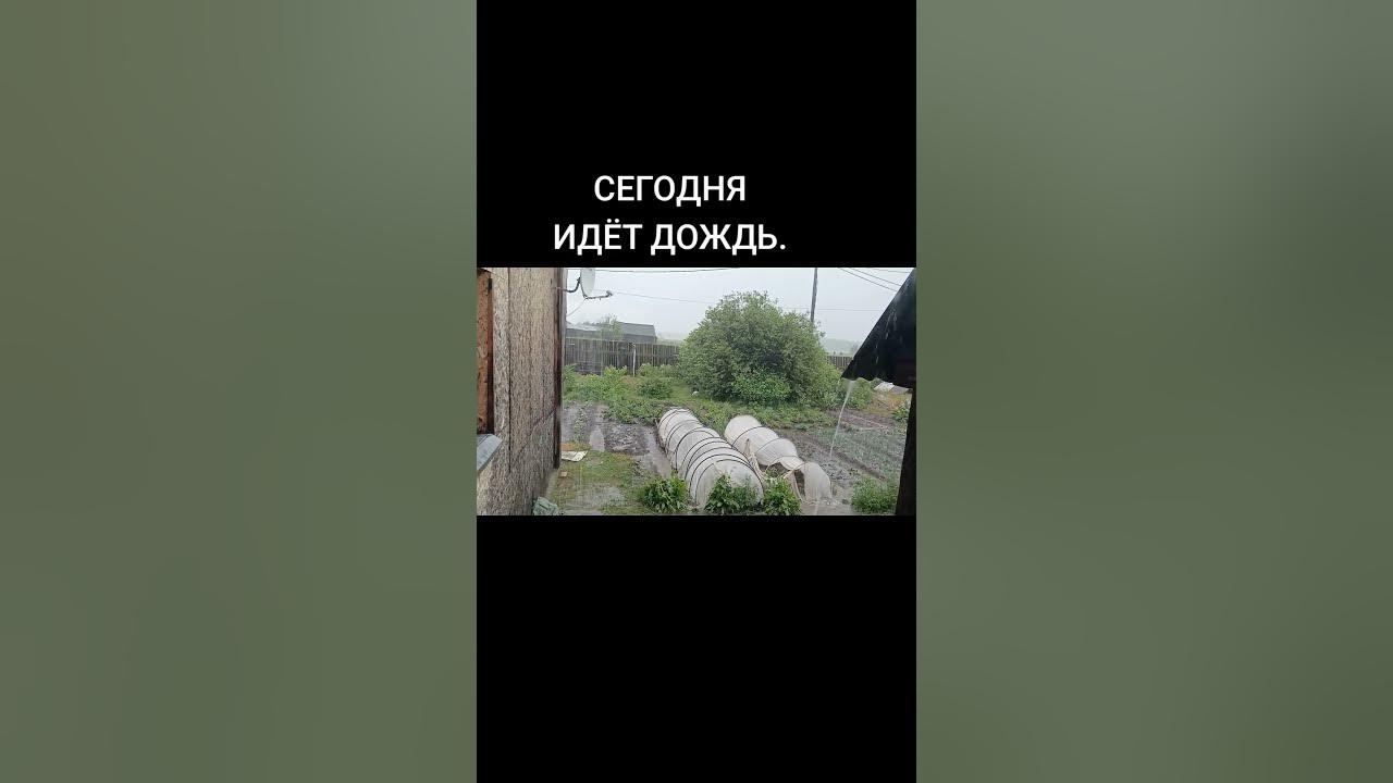 ИГОРЬ ТАЛЬКОВ "ЛЕТНИЙ ДОЖДЬ "#shorts #2025 #tiktok #video #music #love ##музыка