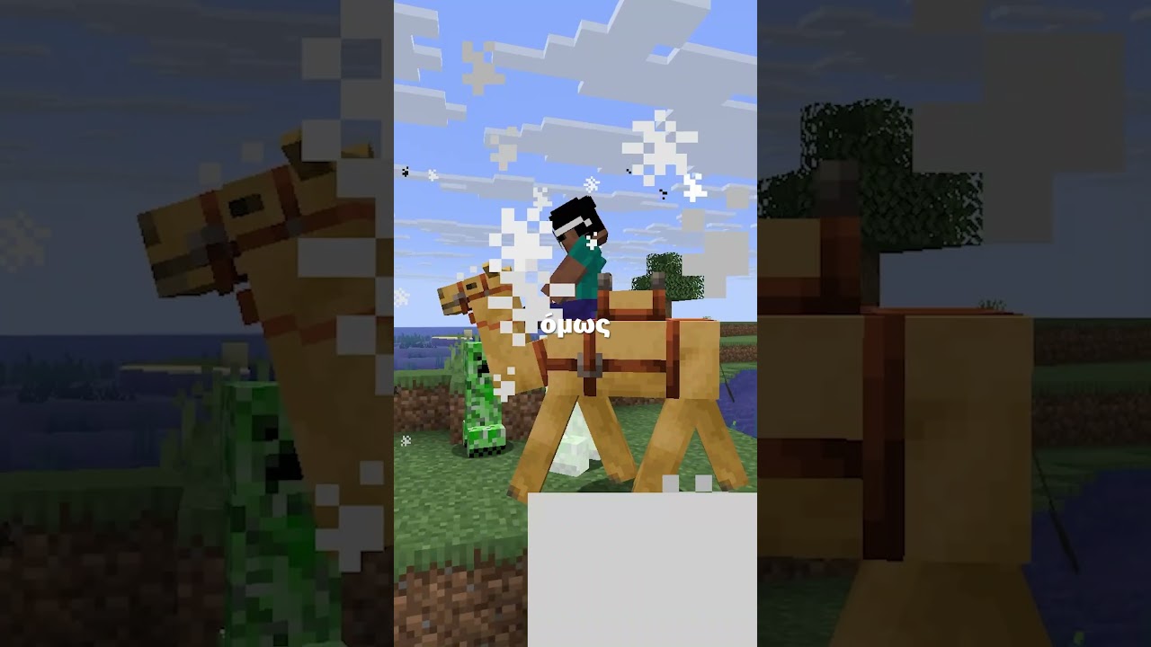 Facts που δεν ήξερες για τις καμήλες 🐪