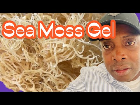 How to make sea moss gel | Chef Ricardo Cooking