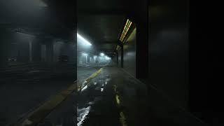 Walking the Tunnel to Downtown