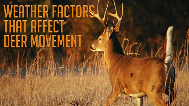 Does Barometric Pressure, Wind Speed, and Temperature Affect Deer Movement?