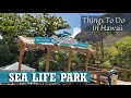 Things To Do In Hawaii - Sea Life Park