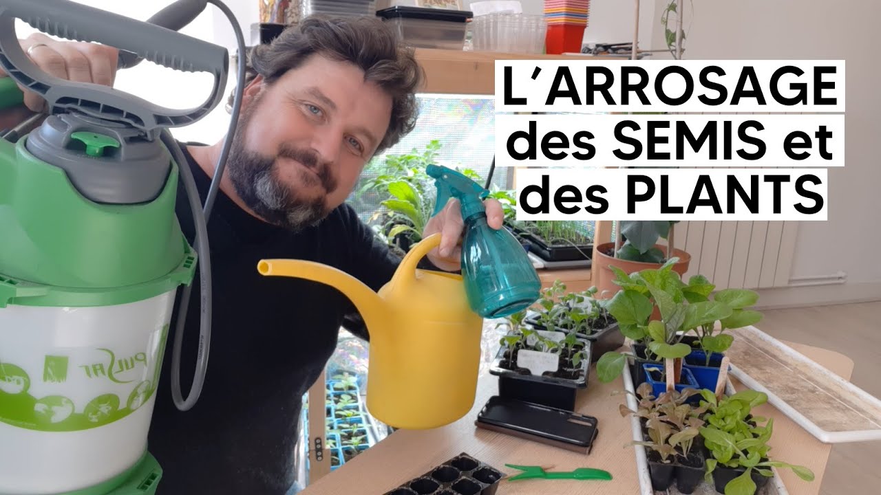Comment je gère l'ARROSAGE des SEMIS et des PLANTS en godets
