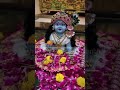 Happy krishna janmashtami 