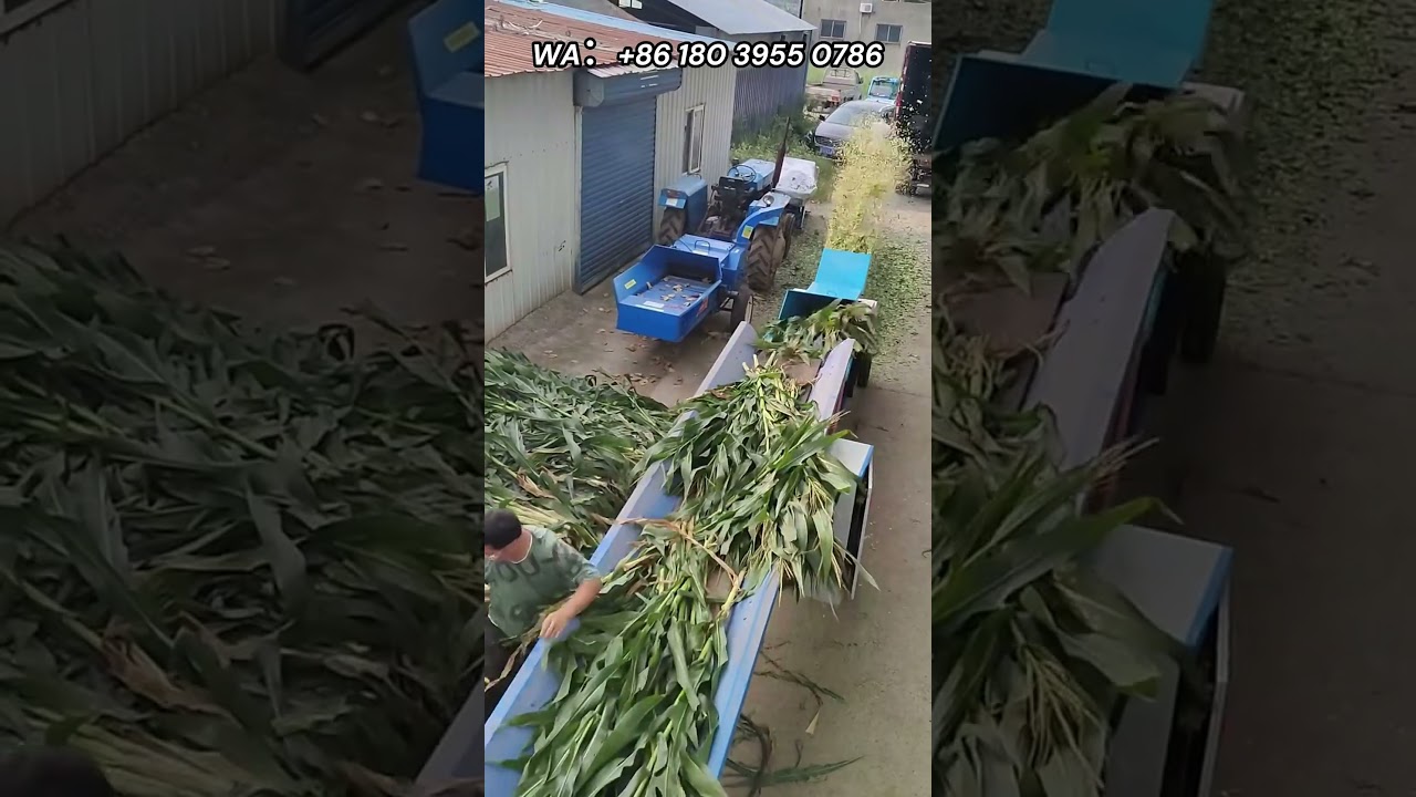 Animal husbandry machinery, cattle and sheep breeding equipment, large horizontal grass chopper