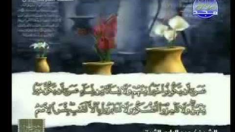 سورة الحجرات تلاوة رائعة للقارئ عبدالباري الثبيتي
