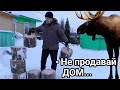 МНОГО ДРУЗЕЙ ПРИШЛО В ПЕРВЫЙ ДЕНЬ ЗИМЫ В ДЕРЕВНЕ