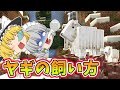 【マイクラ】#15 ヤギの飼い方つきあい方‼