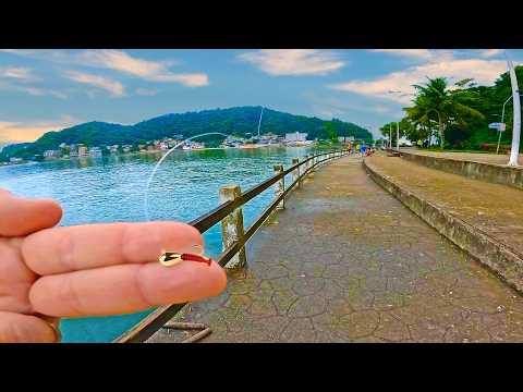 THIS NANO-BAIT made me catch A LOT OF FISH! IMPRESSIVE the power of the fishing technique!