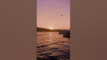 الصفحه الخامسه الجزء٢(كل يوم صفحه من القرآن) #القرآن #تلاوة #اكسبلور #متابعة #beautiful  #الجزائر