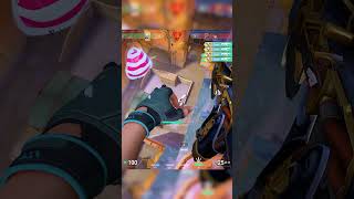 Insane Bug Insane 6K