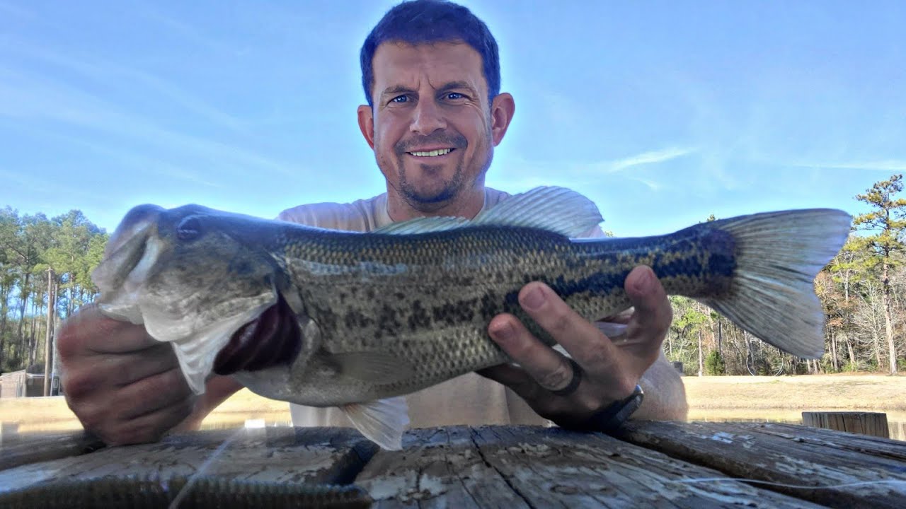 If I could only use ONE lure for Bass Fishing…