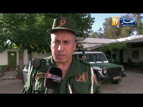 الطارف الإطاحة بشخص متلبس بجرم سرقة سيارة فاخرة بعين العسل