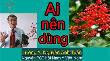 Mò hoa đỏ chữa bệnh gì tốt nhất - Lương Y: Nguyễn Anh Tuấn