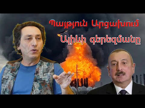 Video: Երկրային առնետը հսկա է ձագերի մեջ