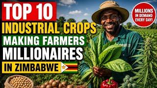 Top 10 Industrial Crops Making Farmers Millionaires In Zimbabwe 