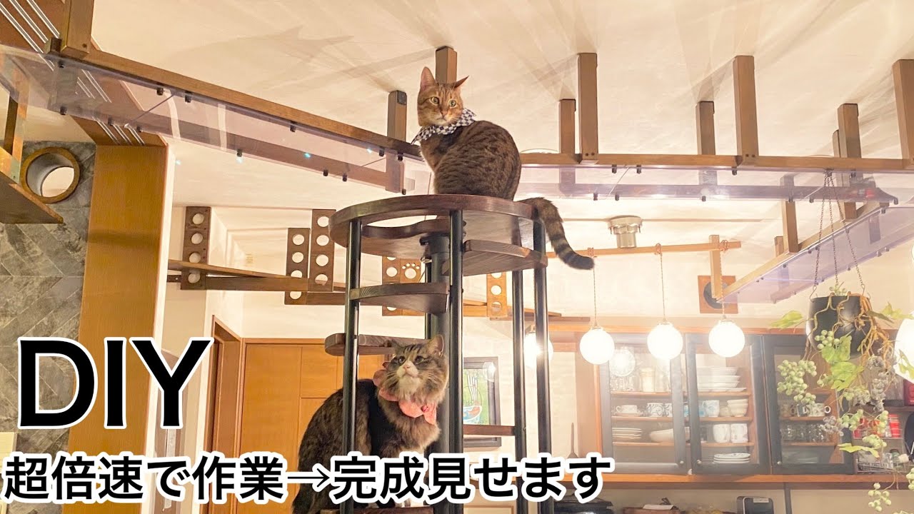 【DIY】家中に猫の遊び場作ってみた！作業から完成まで。一気に超倍速で見せます(その①）　Rooms for Cats.