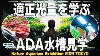 ADAネイチャーアクアリウムを作るための適正な光の量は？Nature Aquarium Exhibition 2021 TOKYO by AQUA DESIGN AMANO