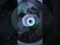 🩲Underwear Only Washing Machine Sounds 🫧 Real Laundry ASMR for Sleep, Relaxation &amp; Focus #SHORTS